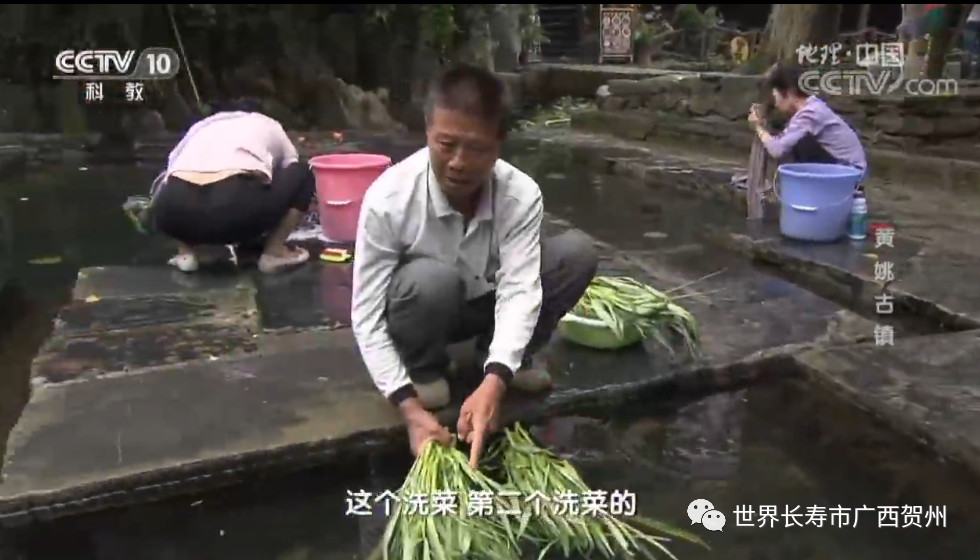 贺州新闻网 新闻_贺州4月新闻_人民日报海外版报道贺州