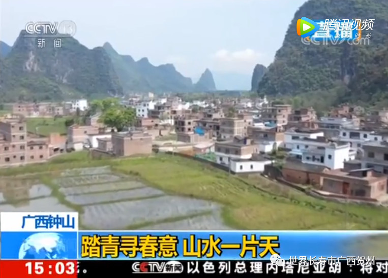 贺州新闻网 新闻_人民日报海外版报道贺州_贺州4月新闻