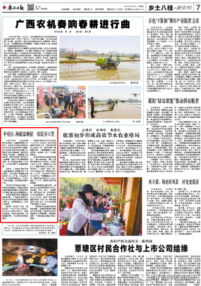 人民日报海外版报道贺州_贺州新闻网 新闻_贺州4月新闻