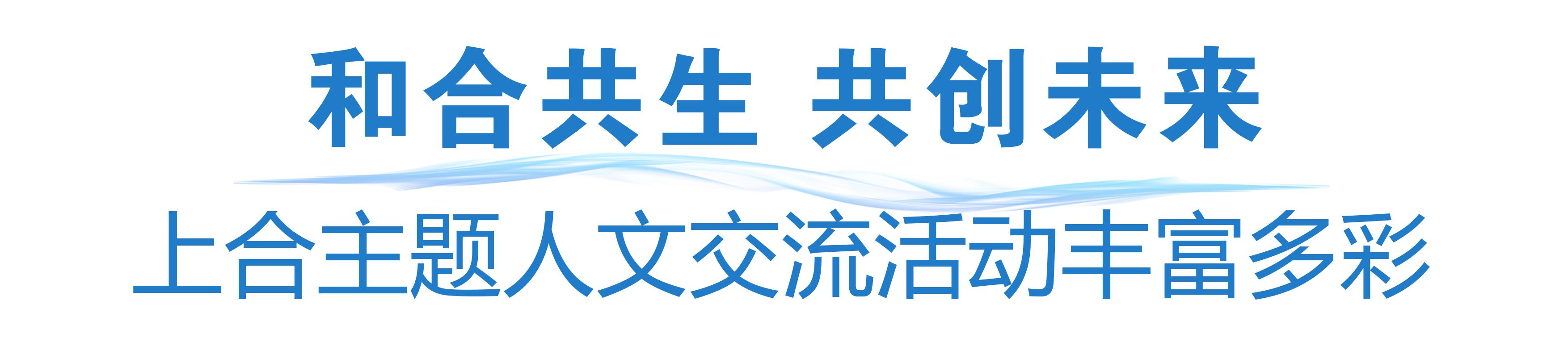 2025上海合作组织峰会 天津报道 中央广播电视总台_新闻资讯节目