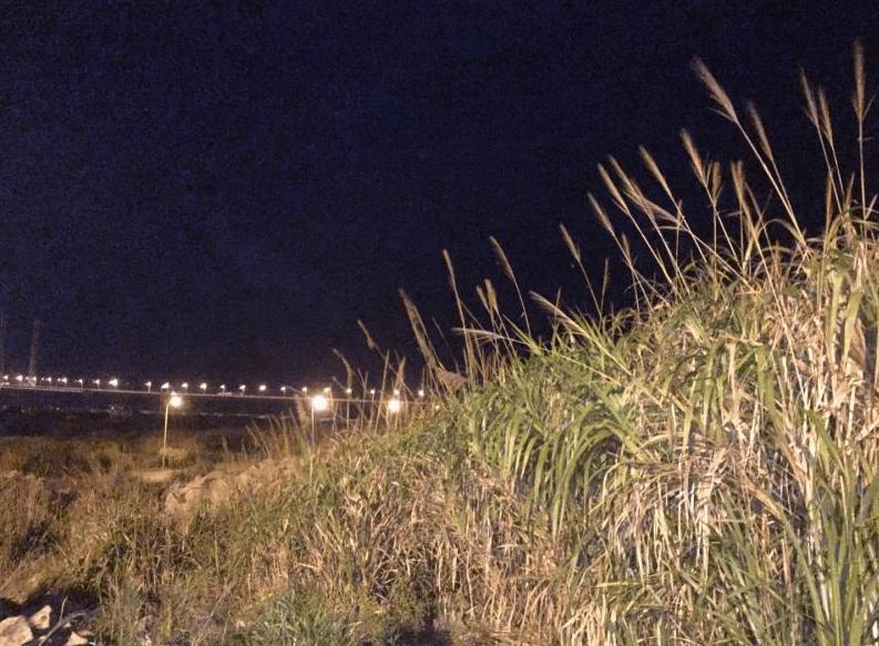 主持人佟瑶 夫妻姚尧 忘不了佟瑶_小说女主佟瑶