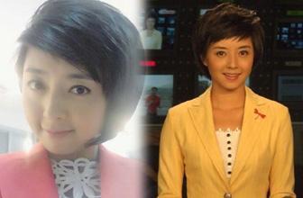 小说女主佟瑶_主持人佟瑶 夫妻姚尧 忘不了佟瑶