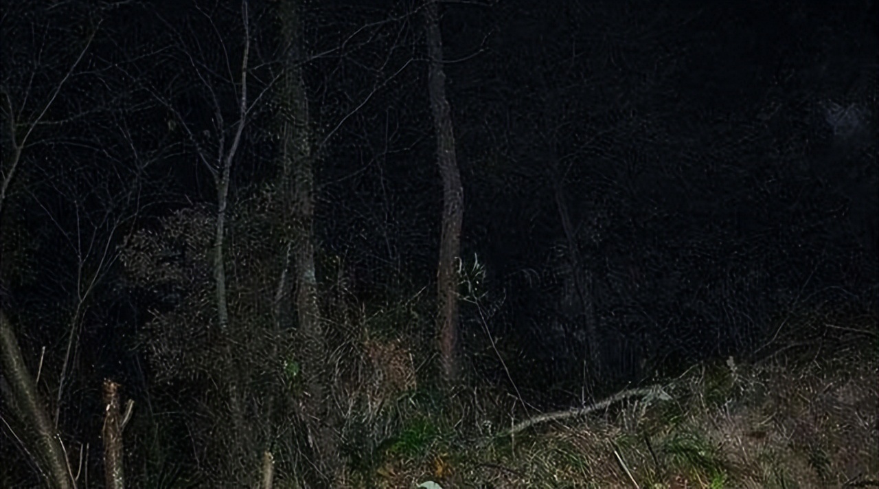 小说女主佟瑶_主持人佟瑶 夫妻姚尧 忘不了佟瑶