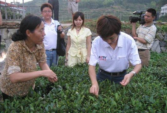 欧阳夏丹 新闻联播 搭档_欧阳夏丹十九专访_欧阳夏丹 主持人生涯