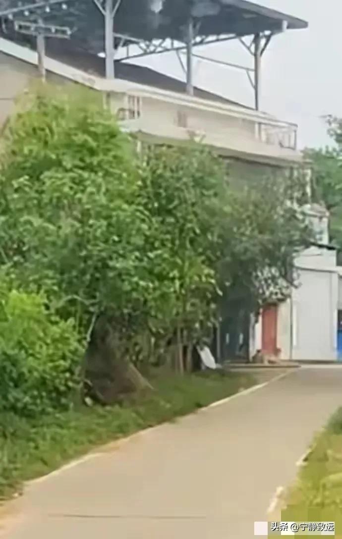 被困五年女孩故事_极端困境下的精神折磨_囚禁少女