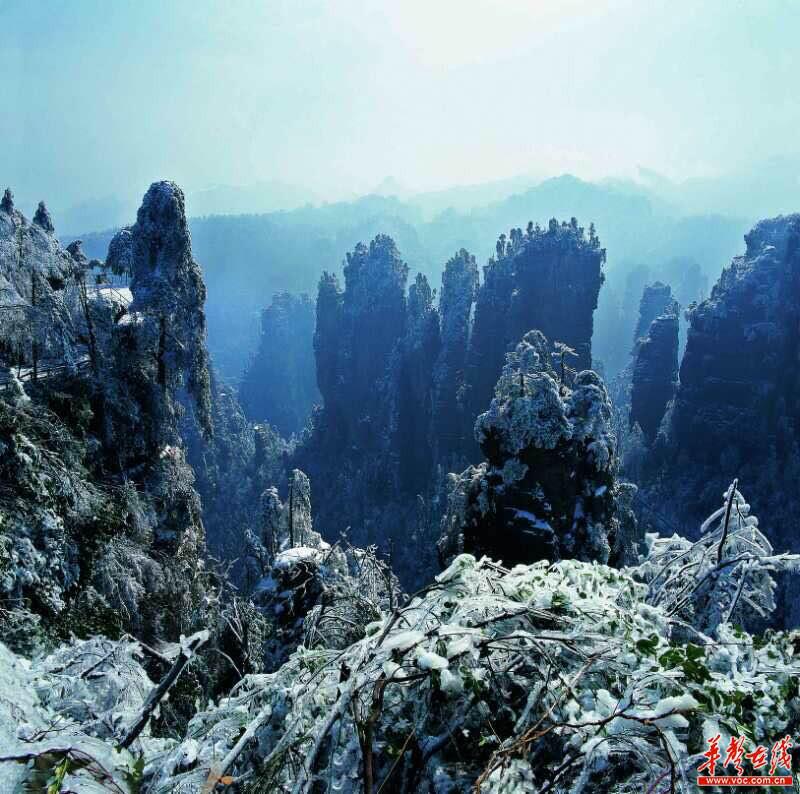 张家界冬季旅游营销活动_张家界冬游优惠政策_张家界 新闻