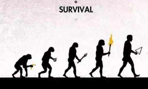 进化危机高清下载_生物进化过程_遗传性状改变机制