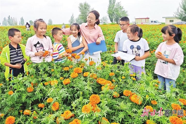 兰州新区八个美丽建设_兰州新闻的最新动态_兰州新区乡村振兴示范带