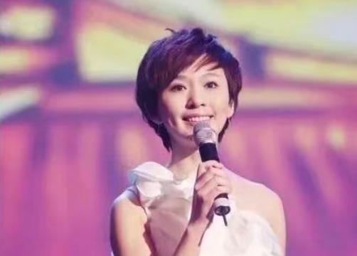 新闻联播欧阳夏丹婚姻_欧阳夏丹没有孩子老了怎么办_欧阳夏丹单身生活感悟