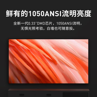 f1c_当贝D3X和F1c区别 对比 评价