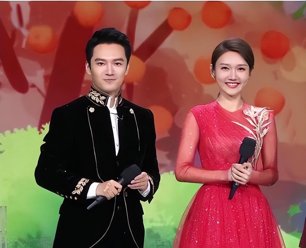 央视午夜新闻主持人_央视主持人调整_康辉落选十大优秀主持人原因