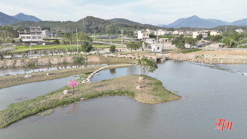 聚焦“百千万工程” | 饶平县三饶镇溪东村：打造“德治善治、茶果飘香”典型村