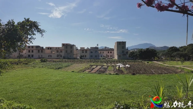 饶平县三饶镇新闻_饶平县三饶镇溪东村党建引领乡村振兴_溪东村德治善治茶果飘香