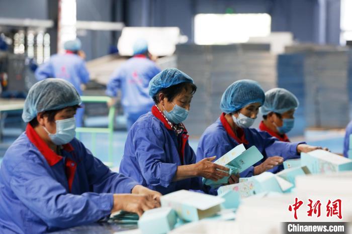 工人们正在整理包装盒，并对玫瑰花产品进行打包运送。　沙见龙 摄