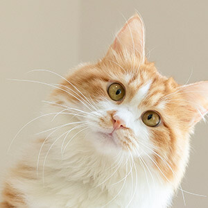 新乡2025年退休工人涨工资消息_河南企业退休人员2018年工资调整细则_工伤补助标准