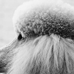 河南企业退休人员2018年工资调整细则_新乡2025年退休工人涨工资消息_工伤补助标准