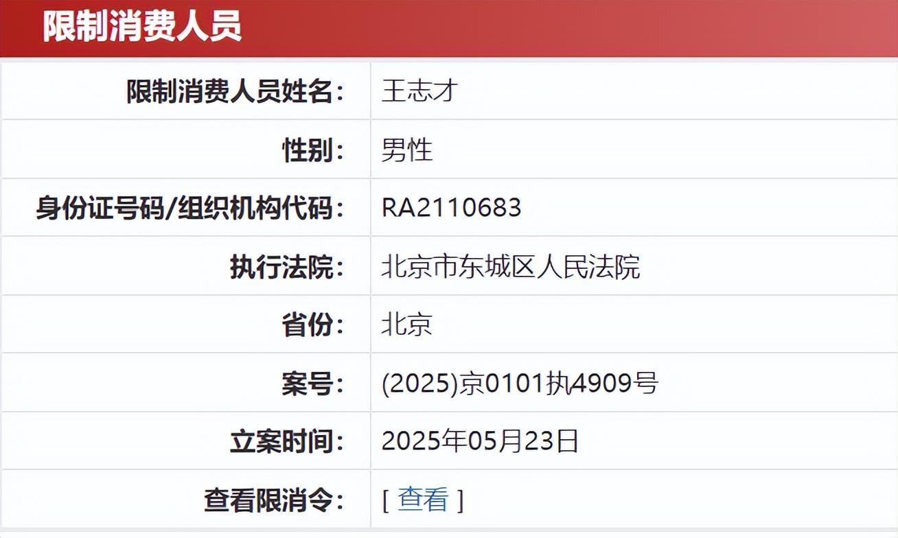 王艳 故宫 豪宅_王志才 地产大亨 王府世纪_王艳跟王志才的照片
