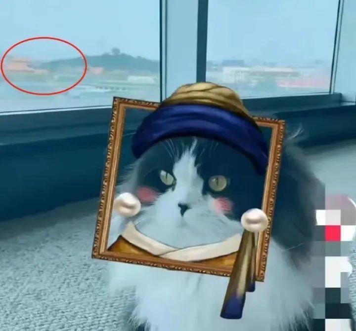 王艳跟王志才的照片_王艳直播带货争议_王艳富豪丈夫限消事件