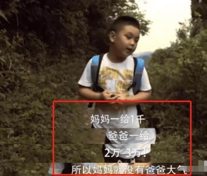 王艳儿子照片_王艳儿子参加节目_王艳跟王志才的照片