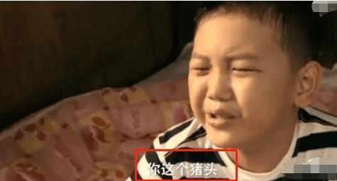 王艳儿子参加节目_王艳跟王志才的照片_王艳儿子照片