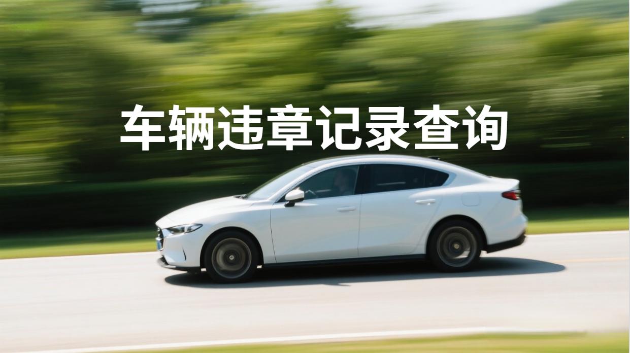 沈阳市电子违章查询网_车辆违章查询几天可以查出来_违章处理去哪里办理