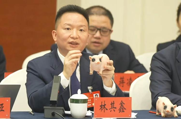 荣昌猪出圈！重庆全力推进生猪产业高质量发展