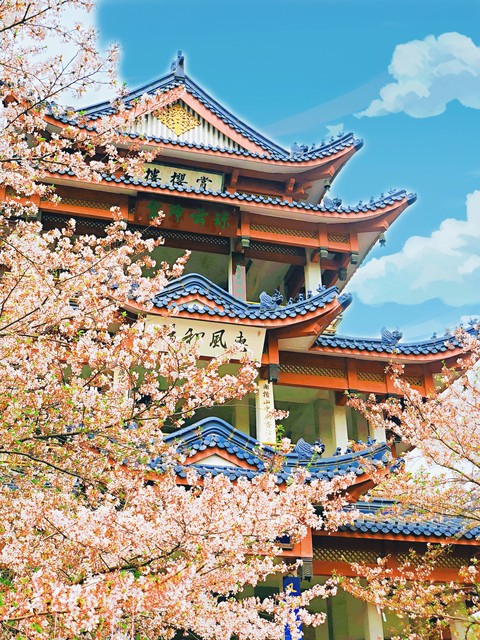 怎么了解自己优势_财富积累阶层跃迁_信息差马太效应