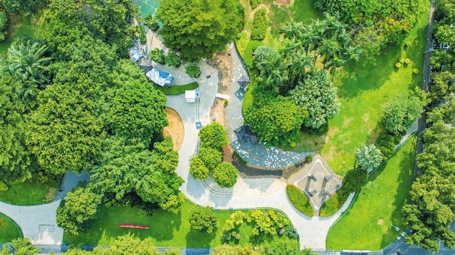 海南海口区级活力提升_海南海口新闻_海口扩权强区改革