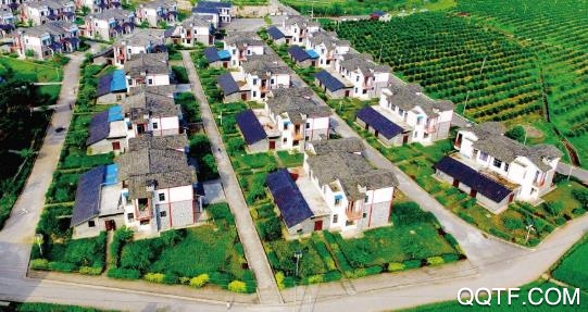 邻水发布app官方版