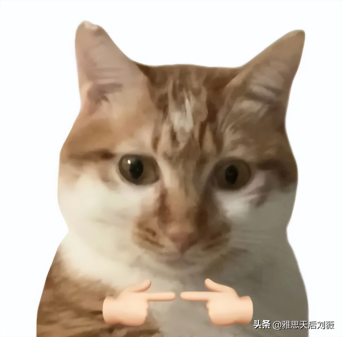 学院风男装搭配_英国留学生穿搭特点_10年前留学生穿搭风格