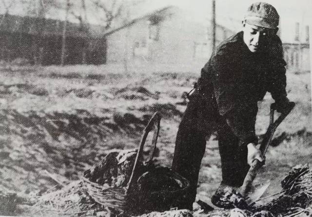 李从军 雷锋_雷锋的改名经历_雷锋投身工业战线的故事