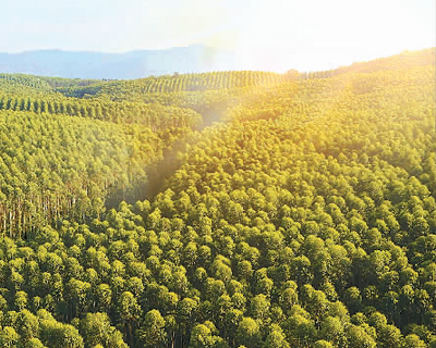 绿色循环低碳造纸_造纸业绿色转型_热转移印花新闻纸价格