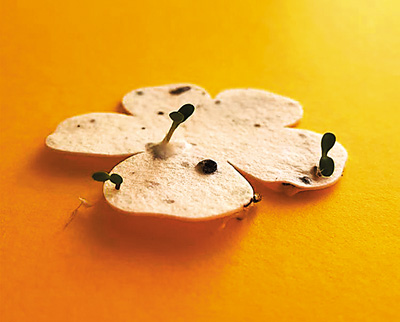 绿色循环低碳造纸_热转移印花新闻纸价格_造纸业绿色转型