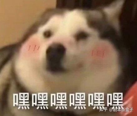 没玩过剧本杀怎么玩？不怕！！最全新手入坑指南~~妥妥的剧本杀小白必备！！