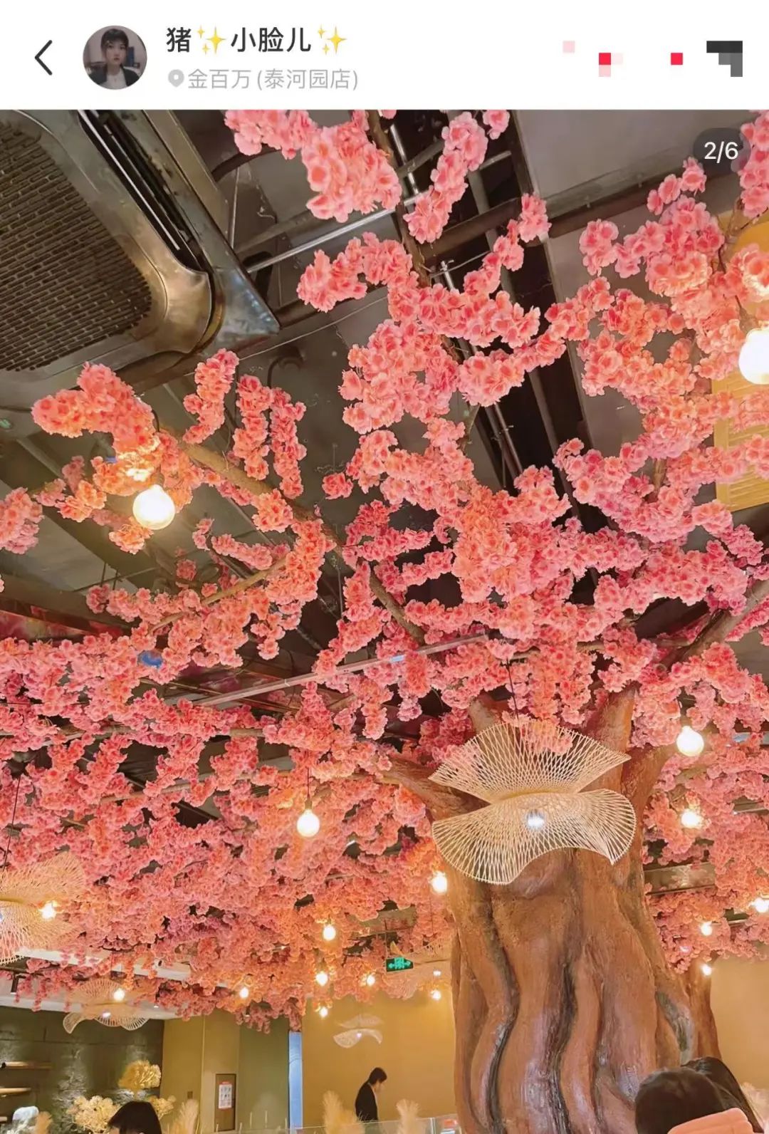 金百万 数字时代的餐饮先行者 网易新闻_金百万 北漂请客性价比之选_金百万 北京打工人的外卖选择