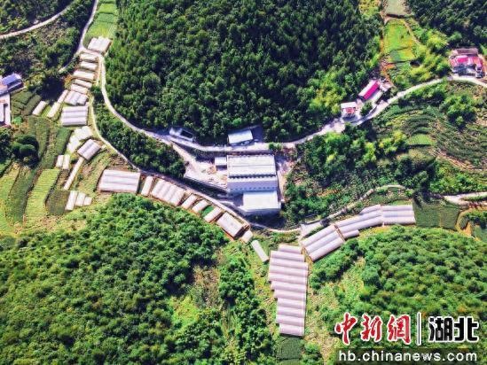 宣恩新闻规划_宣恩县耕地恢复行动_宣恩县耕地保护