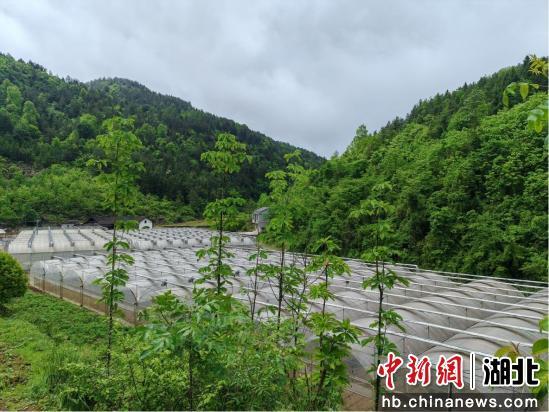 宣恩新闻规划_宣恩县耕地保护_宣恩县耕地恢复行动