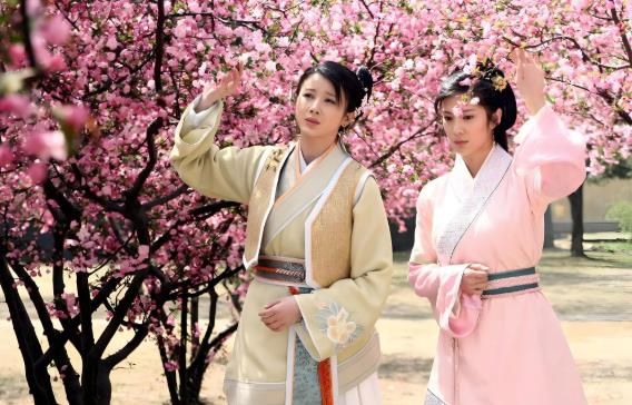 成都电视台成视新闻节目介绍_成视新闻主持人嘉宾阵容_成视新闻分几个版块