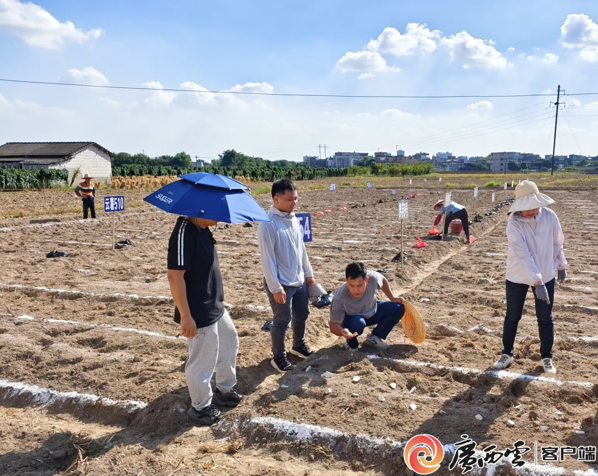 广西产业转型升级党员教育培训_平南县镇隆镇新闻_平南县先锋行动讲堂