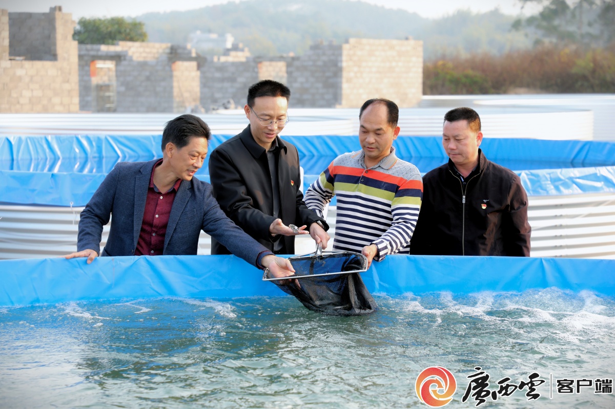 平南县先锋行动讲堂_广西产业转型升级党员教育培训_平南县镇隆镇新闻