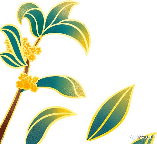 武宣县第七次全国人口普查_武宣2020年广西龙舟邀请赛_广西武宣新闻