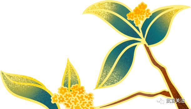 武宣2020年广西龙舟邀请赛_武宣县第七次全国人口普查_广西武宣新闻