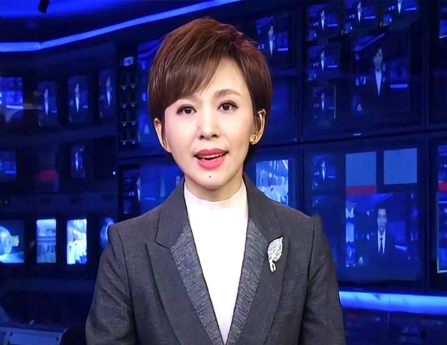 48岁央视前国脸不婚论_欧阳夏丹的现任老公_欧阳夏丹单身女人观点