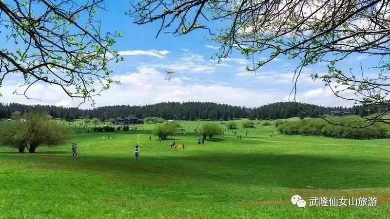 重庆下雪新闻_重庆必去景点攻略_重庆旅游景点推荐