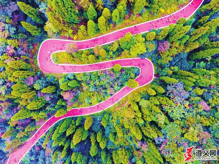 【奋斗百年路•启航新征程】鰼国故里正芳华