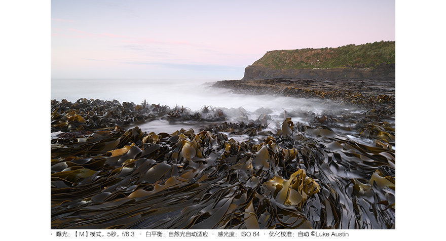 尼康 金圈镜头_尼康D850高感光度拍摄体验_尼康D850性能表现