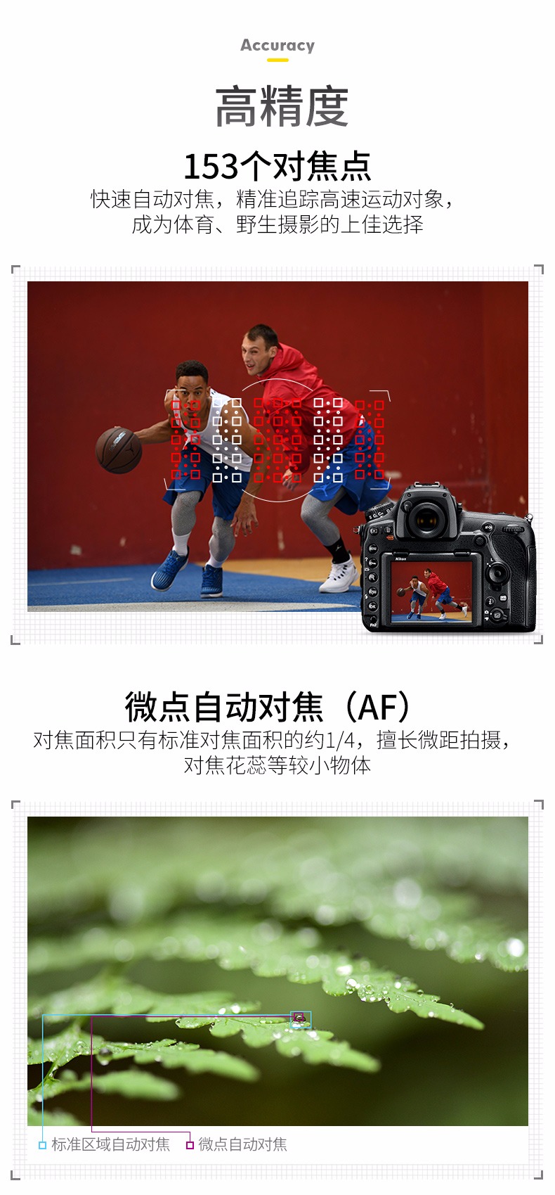 尼康 金圈镜头_尼康D850性能表现_尼康D850高感光度拍摄体验