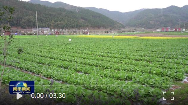 福建新闻联播 南平报道_南平政和县脱贫变化_福建新闻联播视频