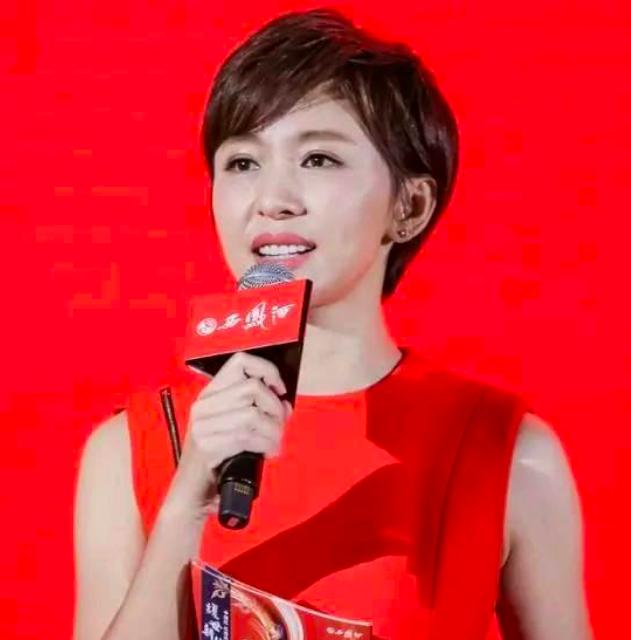 欧阳夏丹桂林商场主持_欧阳夏丹对比照_欧阳夏丹主持风格可盐可甜