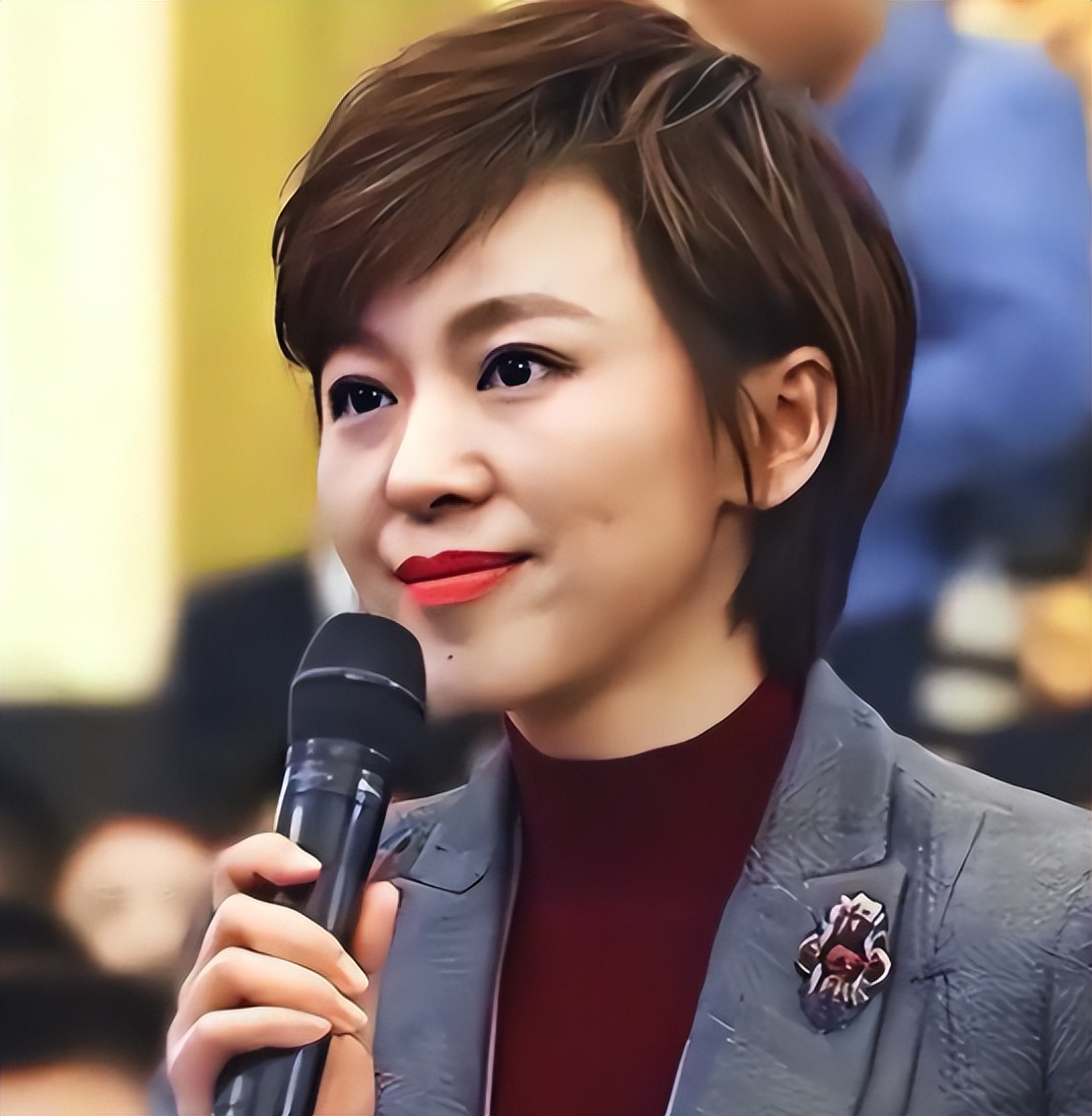 欧阳夏丹 48岁离开央视 终生不婚不育_欧阳夏丹对比照